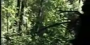 sexy girlfriend goes out in the woods with her boyfriend & lets him fuck her on camera