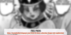 Hentai DragonBall: Tournament Bitch Collection [English]