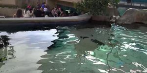 Riley Reid - A Date with Riley Reid at the Aquarium