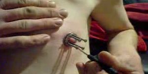 Shaved Pierced Nipple Torture