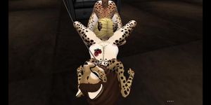 Cheetah fun with clawdia and Day