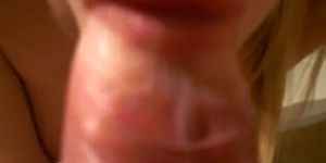 Close up blowjob of a nice big cock