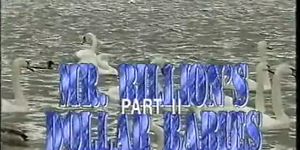 Mr. Billion's Dollar Babies 2 (1988) pt1