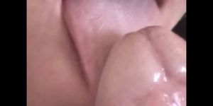 Extreme Closeup Blowjob Video
