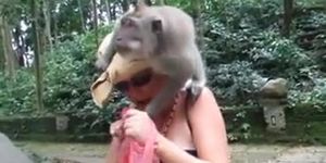 Monkey Fucking Sexy Girls - LOL - Monkey Tit Sharks Woman!! - Tnaflix.com