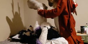 Bird gets a Husky again