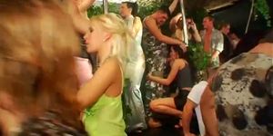 Seductive and wet partying - video 13