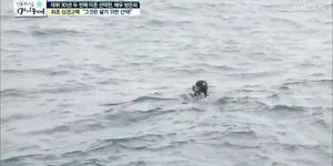 Korean diver milf in hooded wetsuit