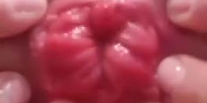 wet pink anus outside