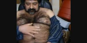 Big hairy bear and hairy body