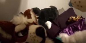 Fursuit sex 3