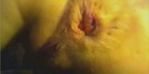 Push ass out op cam XHAMSTER EXCLUSIEF