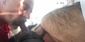 Dad sucking hairy cub