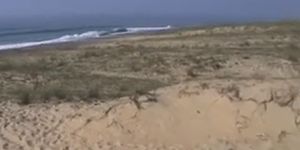 Sex on the beach - video 26