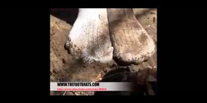 Dirty Socks - video 4