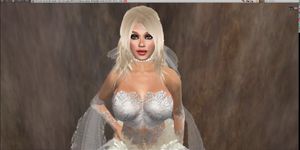 Second Life-Virgin Bride Part 2 Wedding Gangbang