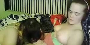 lesbians fucking and sucking their pussy