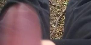 Wanking my cock in the forest