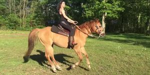 Riding my Horse