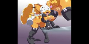 Rouge The Bat Hentai Rouge The Bat Hentai