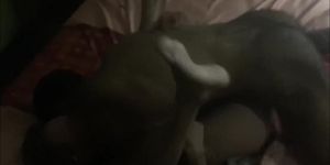 Petite Wife Having Sex With A Black Stallion - Cuckold