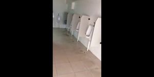 Risky wank in public bathroom