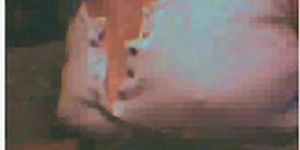 jessica du New Jersey jeune salope teen jouant avec ses seins en webcam