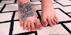 Tattooed shemale exposing pedicured feet