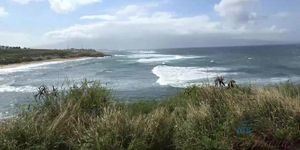 ATK Girlfriends - The Maui Ocean Center was fun (Jamie Marleigh)