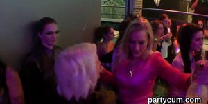 Wacky chicks get entirely insane and undressed at hardcore party
