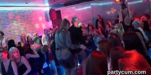 Nasty sweeties get absolutely insane and nude at hardcore party