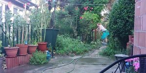 Yesterday Evening - watering the garden
