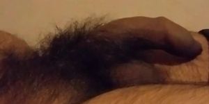 Soft to rough indian punjabi desi dick