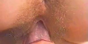 Hot hairy pussy licking