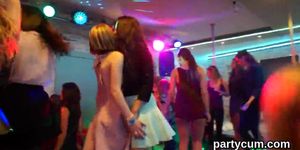 Unusual kittens get completely wild and undressed at hardcore party