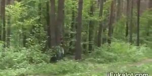 public sucking dick in the forest