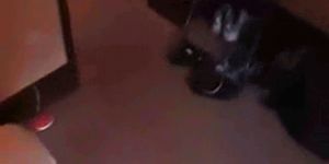 Amateur sex in doggie - video 9