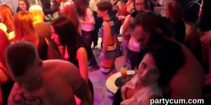 Sexy kittens get entirely silly and naked at hardcore party