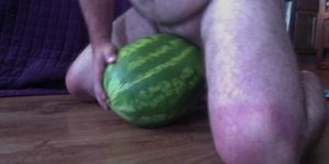 Bear slave fucking a watermelon with a tiny dick- Hilarious! Beartrainerxtreme