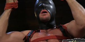 Bdsm loving stud suspended for handjob