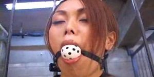 japanese- tied up -wax play-dildo-nose clip-clothes pegs- tied upside down...BMW