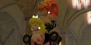 Peach X Bowsette (Renata Daninsky)