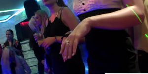 Greedy party amateurs dicksucking strippers