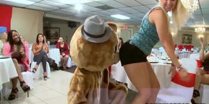 Big Cock Male Strippers And A Fluffy Dancing Bear Entertaining Women (Db992