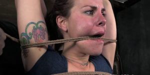 Boxtied sub tormented by black dominator