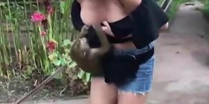 Monkey Tries to Tit Shark Cutie
