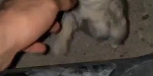 Kitty Gets Fucked By 12 Inch Dick (Wet Moans)
