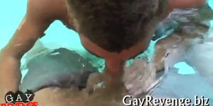 Gay amateur gives a cute sucking - video 5