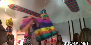 Exquisite party with wild chicks - video 24