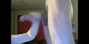 Huge 10 Inch Dick Cums From Blowjob